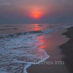 Avatar de Melina Bravo